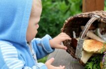 Pilzvergiftung Kinder: Richtig reagieren und handeln