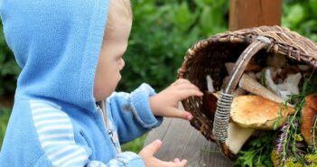 Pilzvergiftung Kinder: Richtig reagieren und handeln