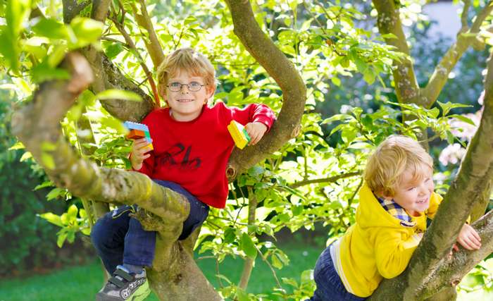 Kinder von heute klettern weniger auf Bäume, springen selten über Gräben, flitzen kaum über Wiesen und stromern nicht im Wald herum. ( Foto: Adobe Stock - Irina Schmidt_) 