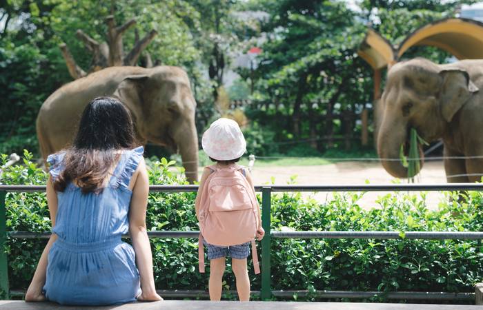 In den meisten größeren Städten gibt es einen Tierpark oder Zoo, in dem schon die Kleinsten auf ihre Kosten kommen. ( Foto: Adobe Stock- makistock)_