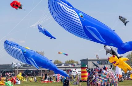Drachenfest Dornumersiel lockt mit imposanten Flugshows und kostenfreiem (Foto: Tourismus GmbH Gemeinde Dornum)