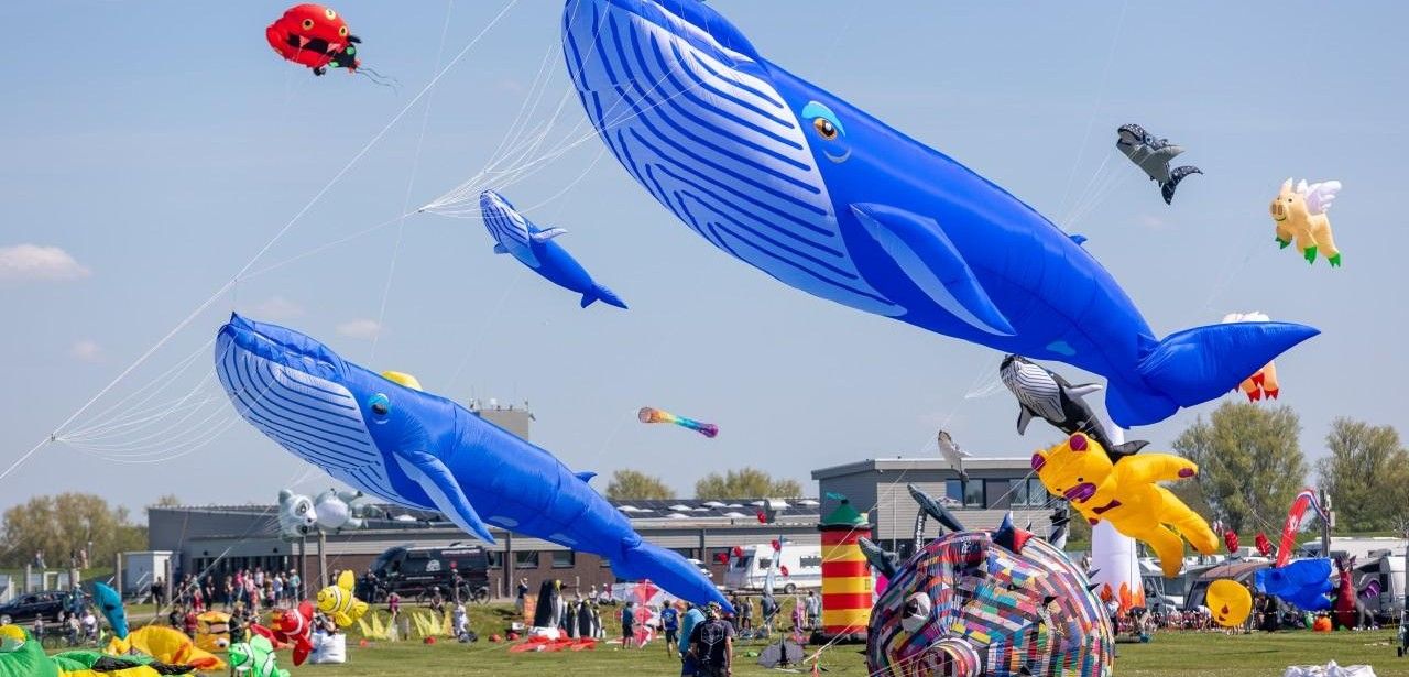 Drachenfest Dornumersiel lockt mit imposanten Flugshows und kostenfreiem (Foto: Tourismus GmbH Gemeinde Dornum)